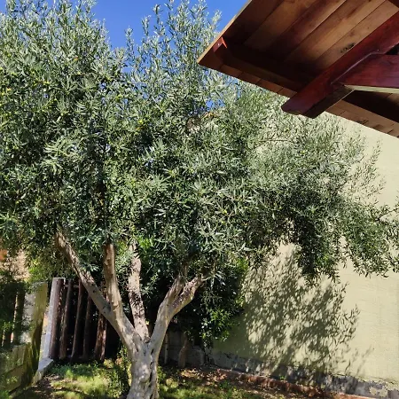 Villa Cruccuris *